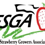 FSGA logo